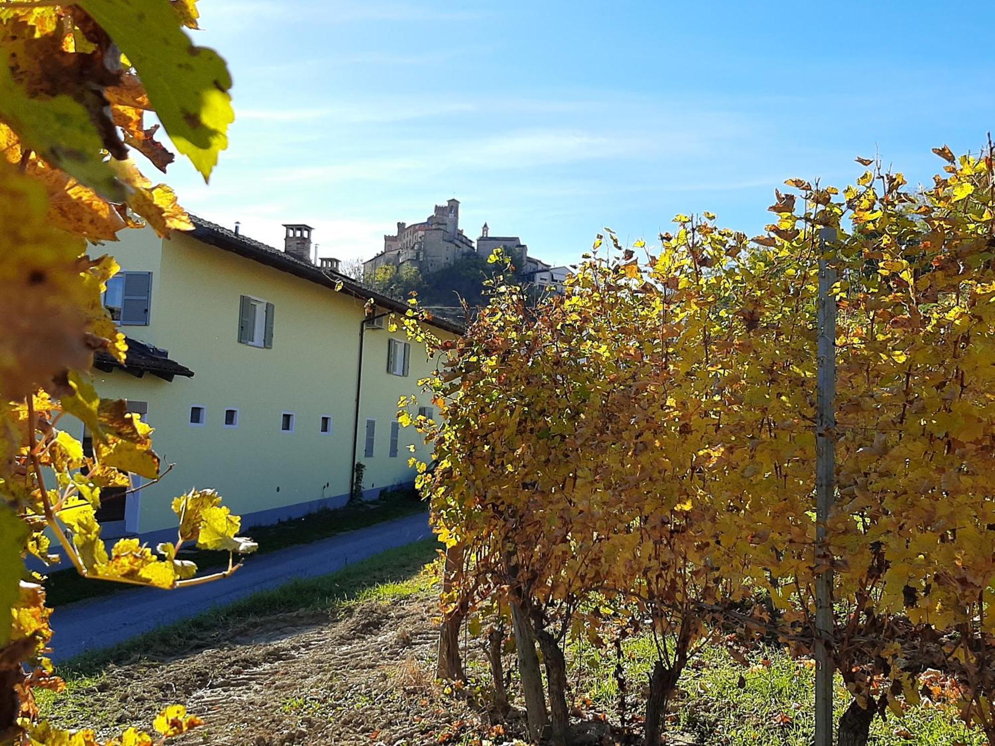 Ciabot Delle Aie - Barolo Apartment Bagian luar foto